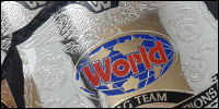 Click to view TWF World Tag Team Championship History